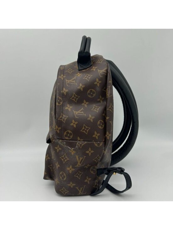 Louis Vuitton Palm Spring Backpack MM Sac main image 5